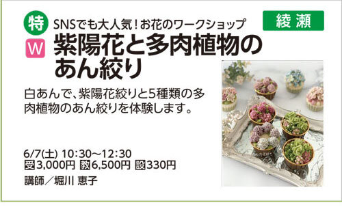 紫陽花と多肉植物のあん絞り