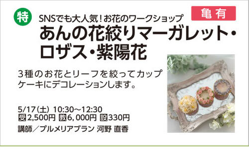 あんの花絞りマーガレット・ロザス・紫陽花