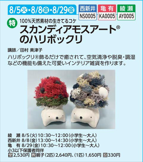 スカンディアモスアート®のハリボックリ