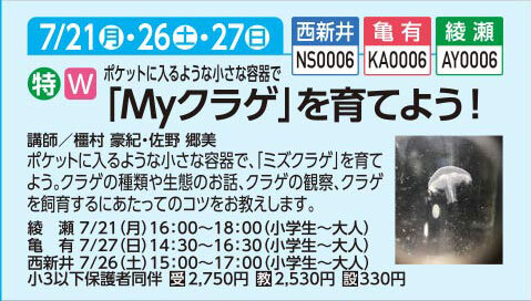 「MYクラゲ」を育てよう！