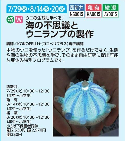 海の不思議とウニランプの製作