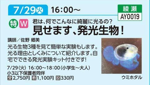 見せます、発光生物