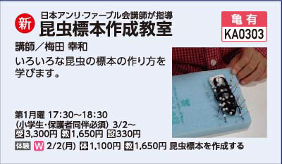 昆虫標本作成教室2/2(月)体験会