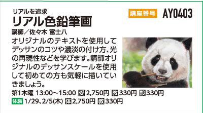 リアル色鉛筆画