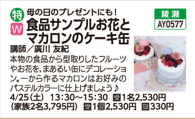 食品サンプル『お花とマカロンのケーキ缶』