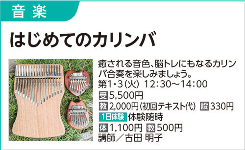 はじめてのカリンバ