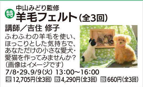 羊毛フェルトで愛犬・愛猫を作ろう(全3回)