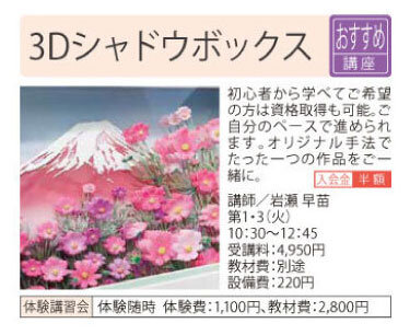 3Dシャドウボックス