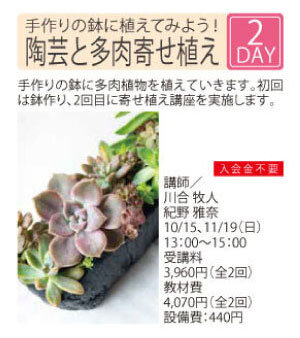 陶芸と多肉寄せ植え