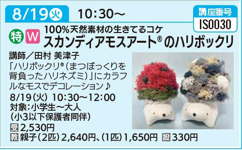 スカンディアモスアートのハリボックリ8/19（火）