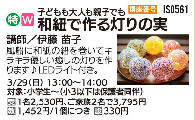 和紐で作る灯りの実