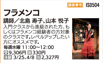 フラメンコ　毎週水曜クラス