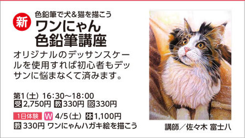 ワンにゃん色鉛筆講座