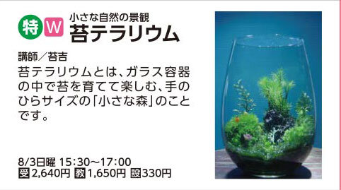 【8/3】苔テラリウム