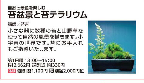 苔盆景と苔テラリウム(日)