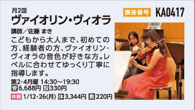 ヴァイオリンヴィオラ30分個人レッスン
