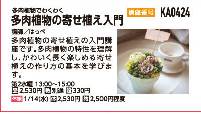 多肉植物の寄せ植え入門