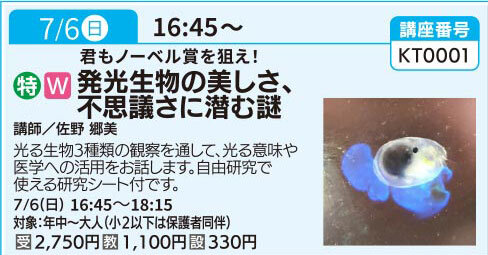 発光生物の美しさ、不思議さに潜む謎（全1回）