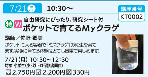ポケットで育てるMｙクラゲ（全1回）