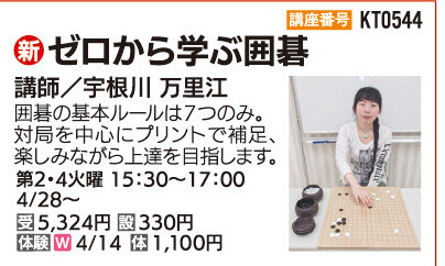 ゼロから学ぶ囲碁