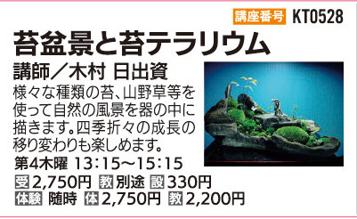 苔盆景と苔テラリウム