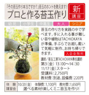 プロと作る苔玉作り