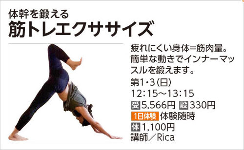 筋トレエクササイズ