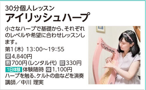 アイリッシュハープ