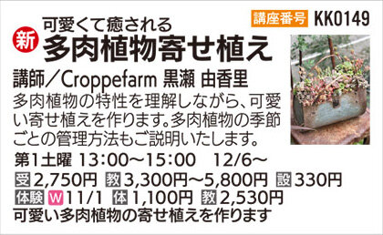 多肉植物寄せ植え