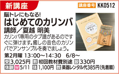 はじめてのカリンバ