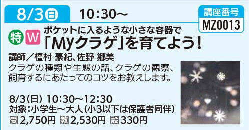 Ｍｙクラゲ」を育てよう！
