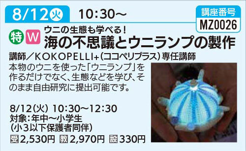 海の不思議とウニランプの製作