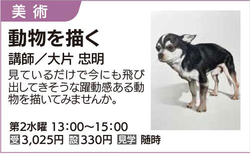 動物を描く