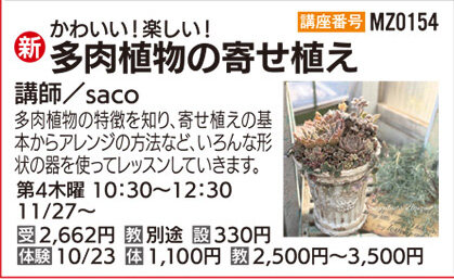 多肉植物の寄せ植え　体験会