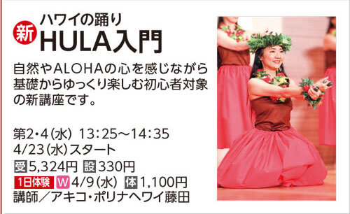 HULA入門