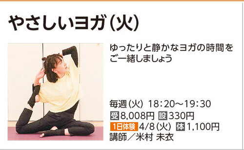 やさしいヨガ