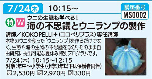 海の不思議とウニランプの製作7/24（木）