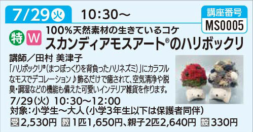 スカンディアモスアートのハリボックリ7/29(火)