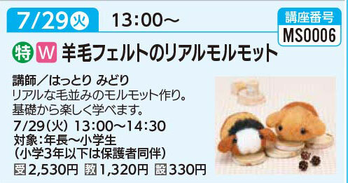 羊毛フェルトのリアルモルモット7/29（火）