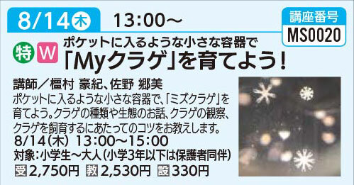 「MYくらげ」を育てよう！8/14（木）