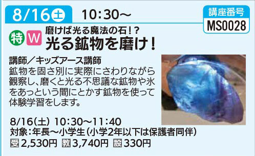 光る鉱物を磨け！8/16（土）