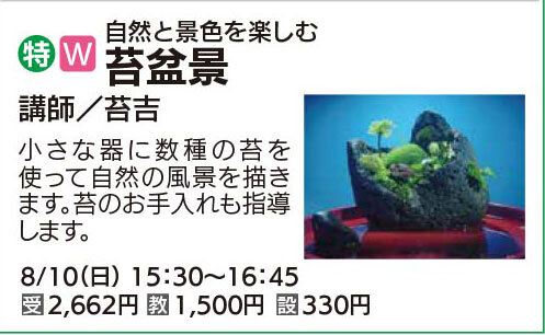苔盆景　8/10（日）