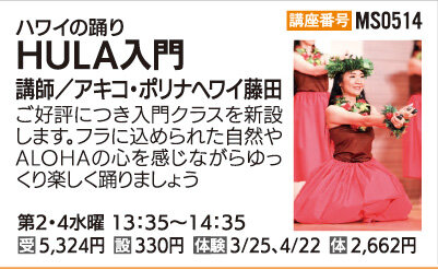 HULA入門