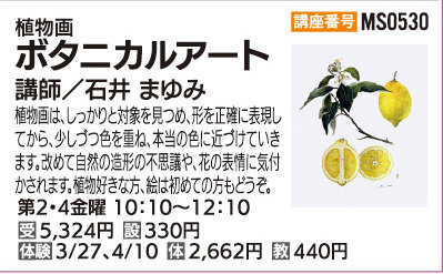 ボタニカルアート