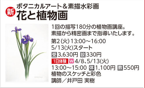 花と植物画