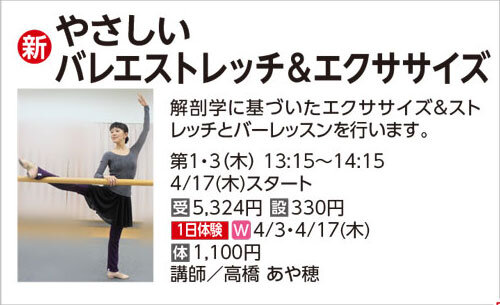 やさしいバレエストレッチ＆エクサイズ