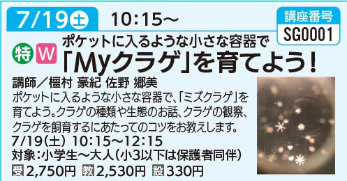 「Ｍｙクラゲ」を育てよう！