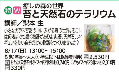 苔と天然石のテラリウム(全1回)