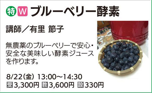 ブルーベリー酵素(全1回)