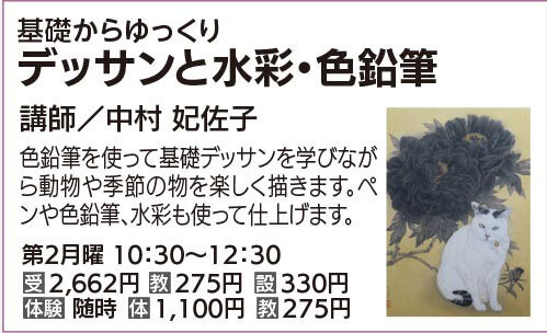 デッサンと水彩・色鉛筆
